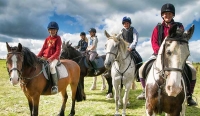 6 Night Teenage Riding Holiday 21st July 2024